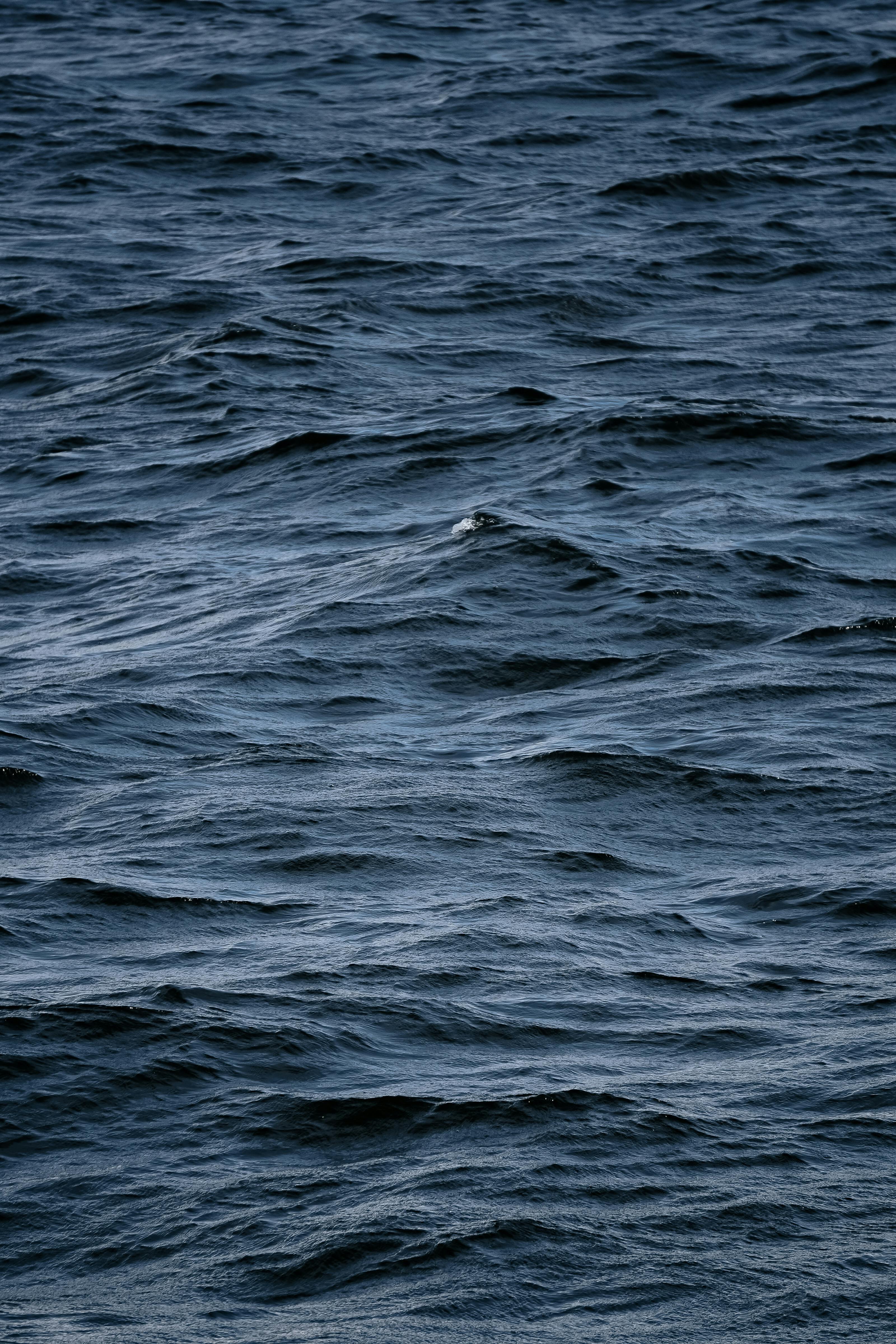 Color