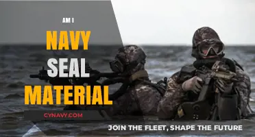 Do You Have What It Takes to Be a Navy SEAL?