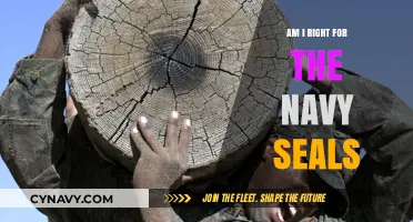 Assessing Your Fit for the Navy SEALs: A Comprehensive Guide