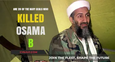 Unveiling the Truth: Navy SEALs and the Osama bin Laden Raid