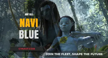 Exploring the Myth: Are All Navi Really Blue?