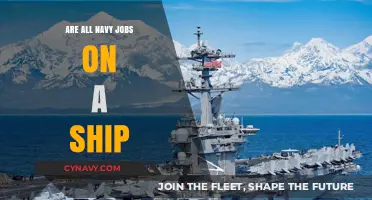 Exploring Navy Careers: Shipboard and Shore-Based Opportunities