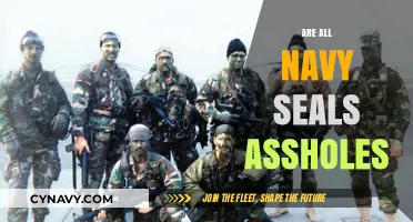 Decoding the Stereotypes: Are All Navy SEALs Really That Tough?