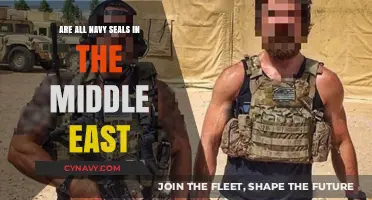 Decoding the Deployment: Are All Navy SEALs Stationed in the Middle East?