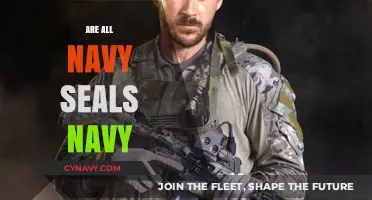 Decoding the Myth: Are All Navy SEALs Really Navy?