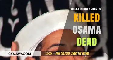 Fate of Navy SEALs Involved in Osama bin Laden Raid: A Closer Look