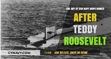 Exploring Naval Heritage: Are Any Ships Named After Teddy Roosevelt?