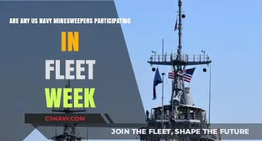 US Navy Minesweepers: Fleet Week Participation and Role Explained