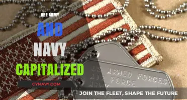 Capitalization Rules for Military Branches: Army and Navy