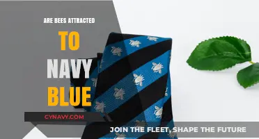 Decoding Bee Behavior: The Surprising Truth About Navy Blue Attraction