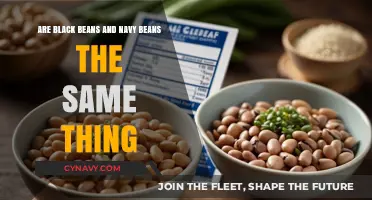 Black Beans vs. Navy Beans: Unraveling the Differences and Similarities