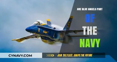 Exploring the Blue Angels: Are They Part of the Navy?