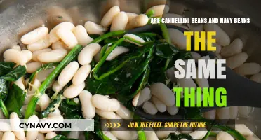 Cannellini vs. Navy Beans: Unraveling the Great White Bean Debate