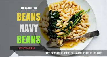 Decoding Legume Lookalikes: Are Cannellini Beans the Same as Navy Beans?