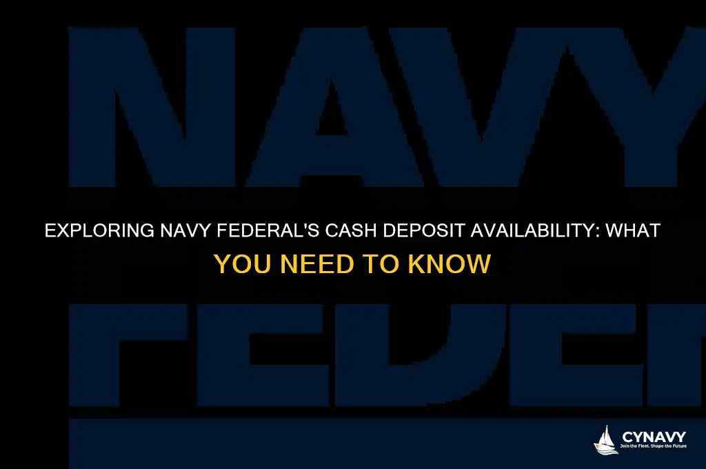 are cash deposits available immediately navy federal