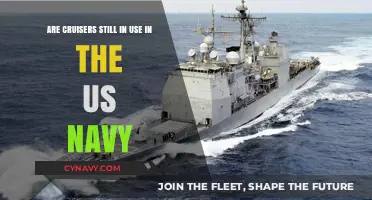Are Cruisers Still Essential in Today's US Navy Fleet?