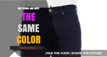 Decoding the Myth: Denim vs. Navy - A Colorful Debate