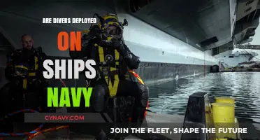 Exploring the Role of Divers in Modern Naval Operations