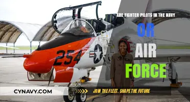 Navy vs. Air Force: Where Do Fighter Pilots Truly Belong?