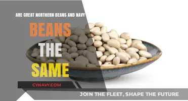 Great Northern vs. Navy Beans: Unraveling the Similarities and Differences