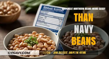 Great Northern vs Navy Beans: Which Causes More Gas?