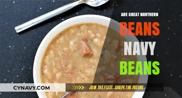 Unraveling the Mystery: Are Great Northern Beans and Navy Beans the Same?