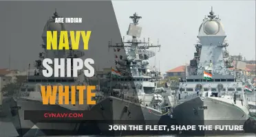 Exploring the Unique Color Schemes of Indian Navy Ships