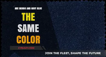 Unraveling the Mystery: Indigo vs Navy Blue - A Colorful Debate