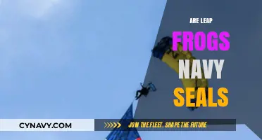 Exploring the Myth: Are Leap Frogs Really Navy SEALs?