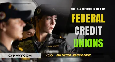 Exploring Loan Officer Presence Across Navy Federal Credit Unions