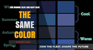 Decoding the Difference: Marine Blue vs Navy Blue Explained