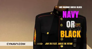 Decoding the Shade: Are Marine Dress Blues Navy or Black?