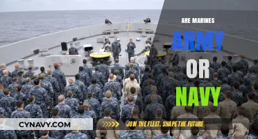 Understanding the Branch: Are Marines Part of the Army or Navy?