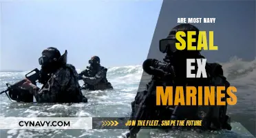 From Sea to Service: The Common Path of Navy SEALs and Marines