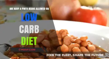 Can Navy & Pinto Beans Fit into Your Low-Carb Diet Plan?