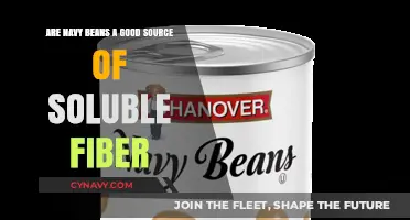 Navy Beans: A Soluble Fiber Powerhouse for Gut Health?