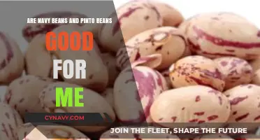 Navy Beans vs. Pinto Beans: Nutritional Benefits and Health Impacts