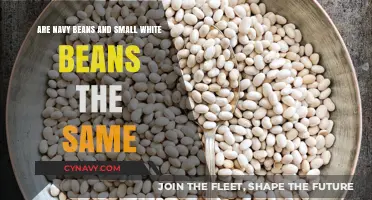 Navy Beans vs. Small White Beans: Unraveling the Culinary Confusion