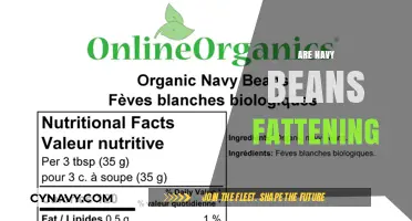Exploring the Nutritional Truth: Are Navy Beans Fattening?