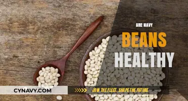 Exploring the Health Benefits of Navy Beans: A Nutritional Powerhouse