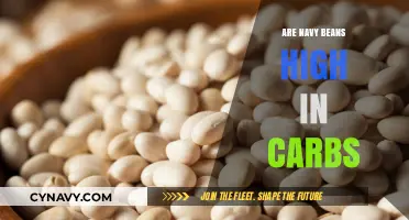 Unveiling the Carb Content of Navy Beans: A Nutritional Insight