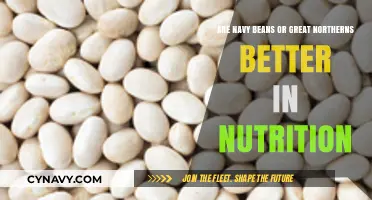 Navy Beans vs. Great Northerns: Which Offers Superior Nutritional Benefits?