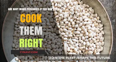Are Navy Beans Poisonous If Not Properly Cooked?