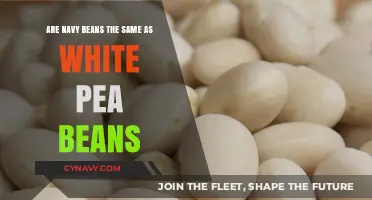 Navy Beans vs. White Pea Beans: Unraveling the Legume Confusion