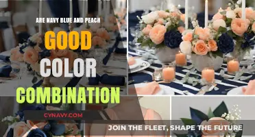 Exploring the Aesthetic Harmony of Navy Blue and Peach