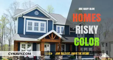 Exploring the Risks and Rewards of Navy Blue Homes