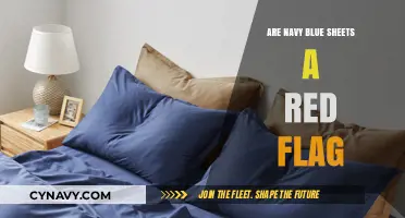 Decoding Bedroom Trends: Are Navy Blue Sheets a Red Flag?