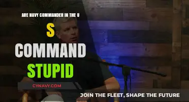 Are U.S. Navy Commanders Truly Stupid? Debunking the Myth