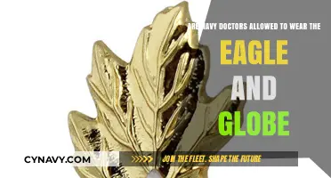 Exploring the Uniform Regulations for Navy Doctors: Eagle and Globe Insignia