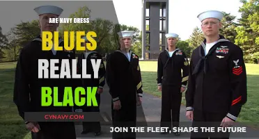 Unveiling the Truth: Navy Dress Blues vs. Black - A Fashion Myth Debunked